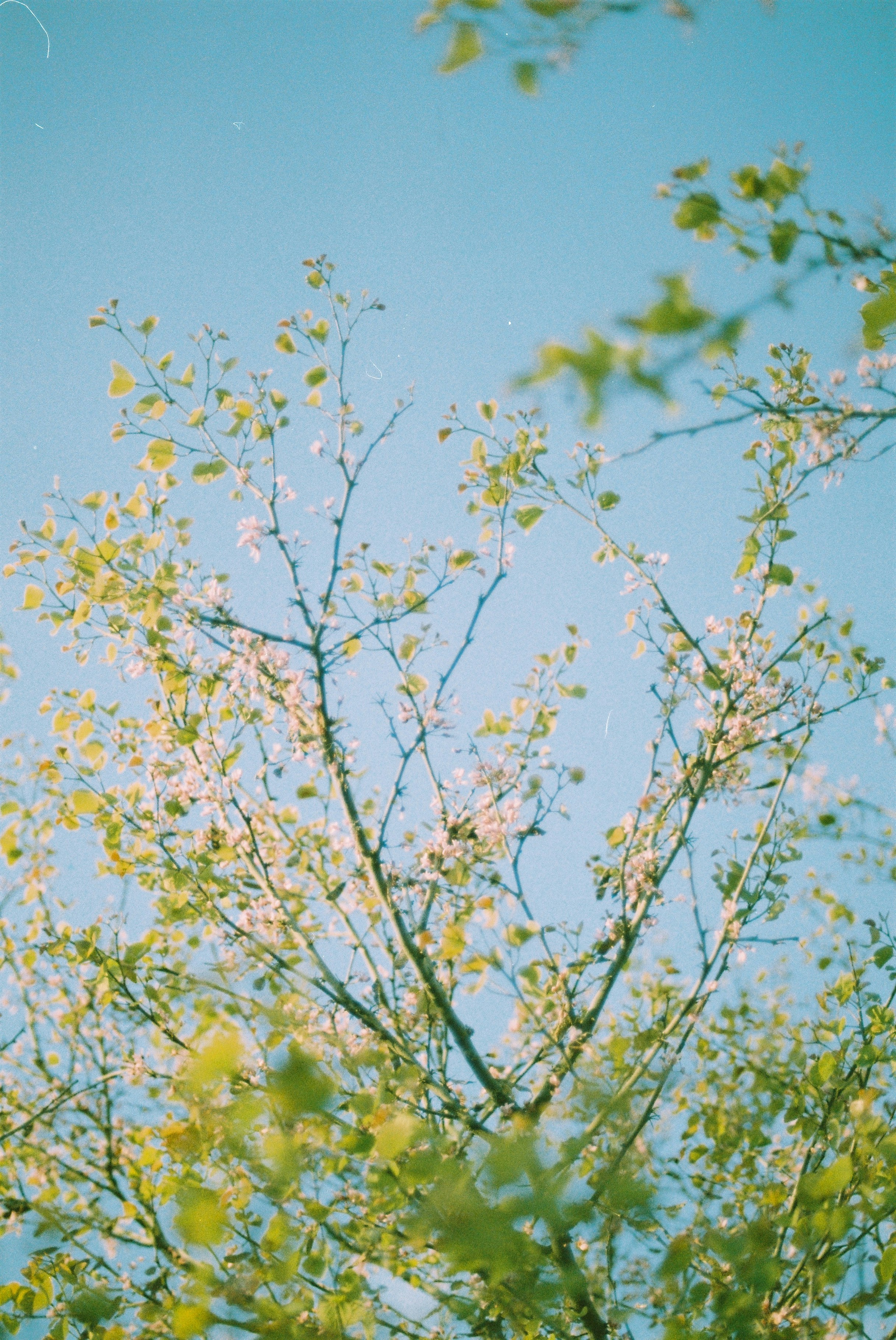 Test Image 7